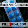 Black Ant Capsules viagra1